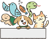 寂しくないように他のペットちゃんと一緒に旅立たせてあげたい