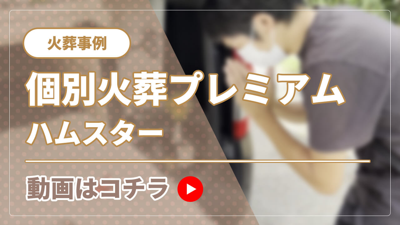 火葬事例 ハムスター