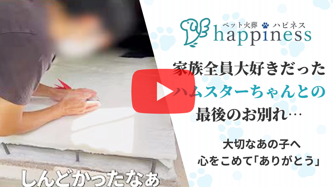 火葬事例 ハムスター ショート