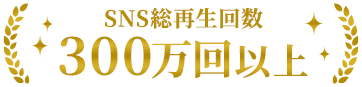 SNS再生回数300万回以上