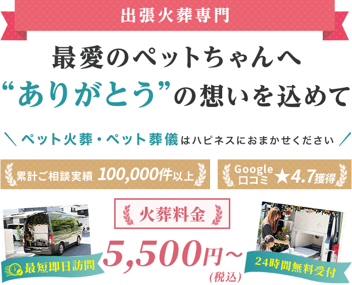 -出張火葬専門-最愛のペットちゃんへ”ありがとう”の想いを込めて