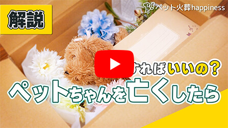【解説】どうすればいいの？ペットちゃんの安置方法
