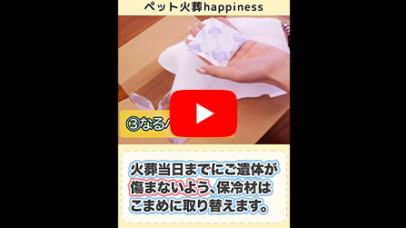 3step！ペットちゃんが亡くなったら最初にやるべきこと #Shorts