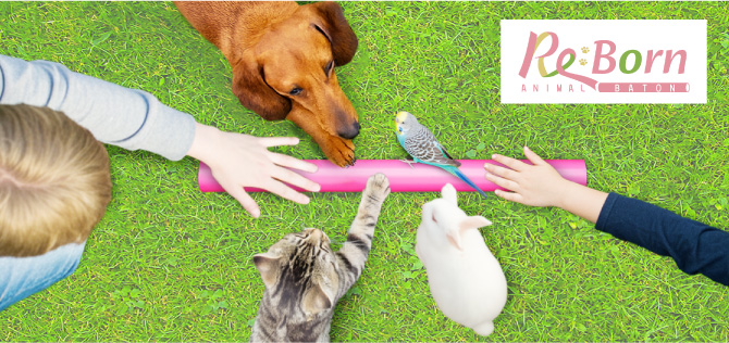 リボーンアニマルバトンプロジェクトイメージ