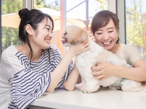 ペットの骨を分骨したい 後悔しない方法と準備する容器などをご紹介 ペット火葬 葬儀はハピネス 格安出張 7 700 霊園供養 納骨可 ペットの骨を分骨したい 後悔しない方法と準備する容器などをご紹介 ペット火葬 葬儀はハピネス 格安出張 7 700 霊園供養 納骨可