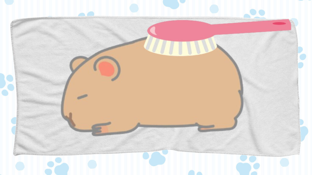 デグーの毛並みを整える
