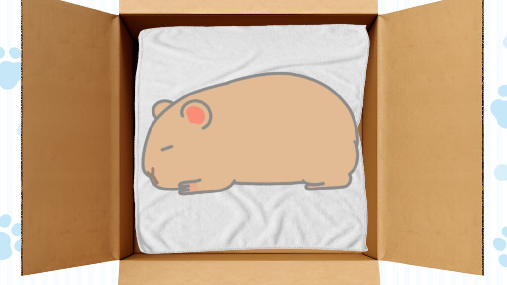 デグーを棺の中に寝かせる