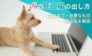 「犬のペット死亡届の出し方｜いつまで・必要なもの・提出先を解説」写真