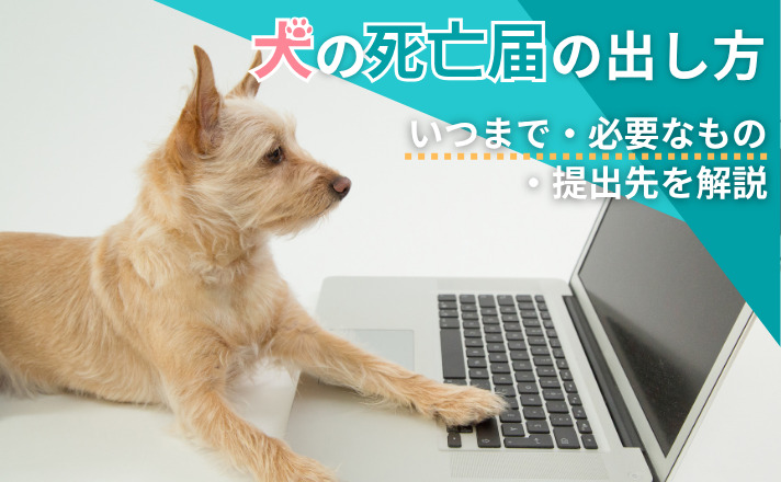 犬のペット死亡届の出し方|いつまで・必要なもの・提出先を解説