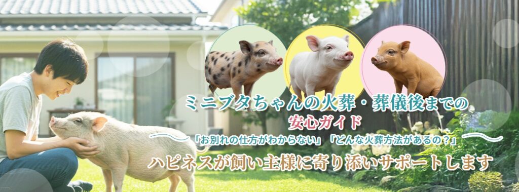 ミニブタちゃんの火葬・葬儀後までの安心ガイド