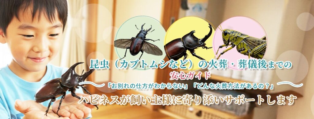 昆虫（カブトムシなど）の火葬・葬儀後までの安心ガイド