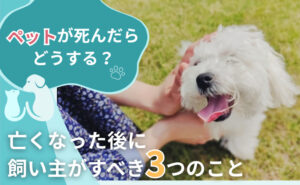「ペットが死んだらどうする？亡くなった後に飼い主がすべき3つのこと」写真