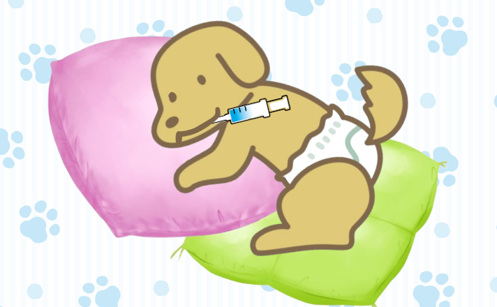 小型犬の飲食介護