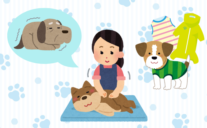 寒がる犬のための対策