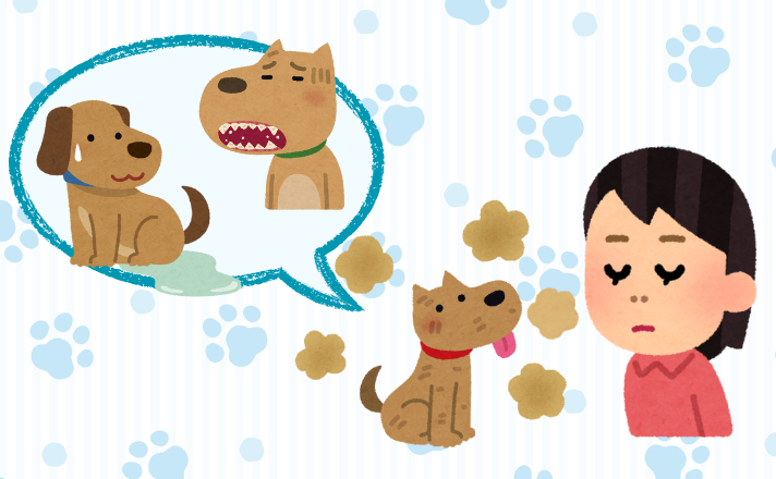 飼い犬の匂いの原因