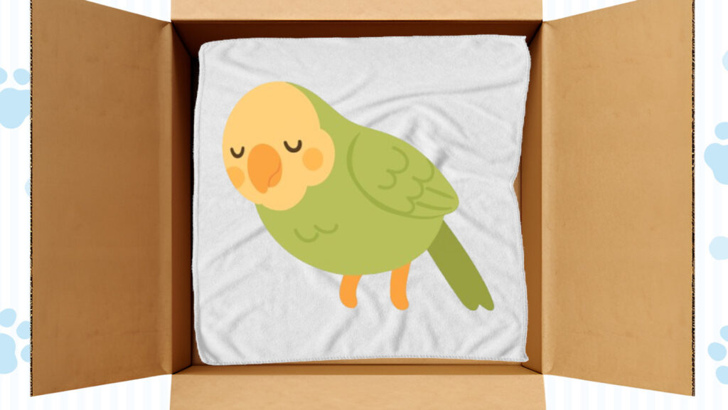 棺の中にインコを寝かせる