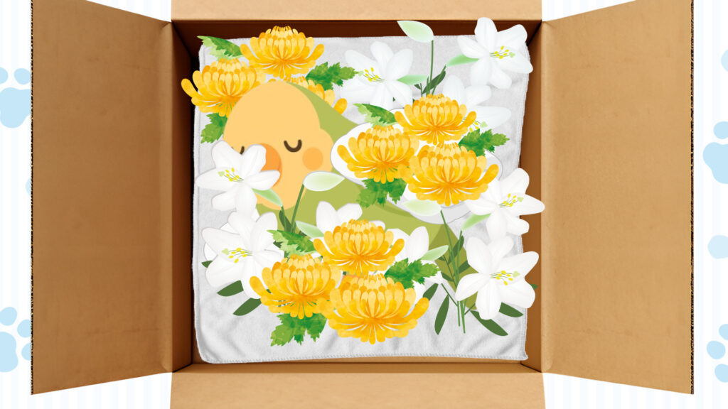 棺にお花やおやつをお供えする