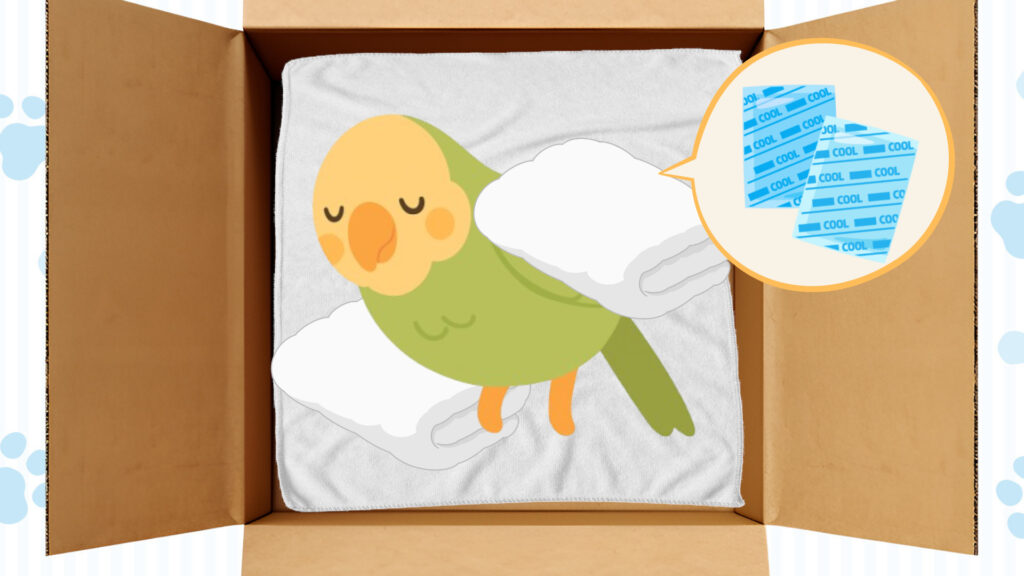 保冷剤を布で包みインコの体を冷やす