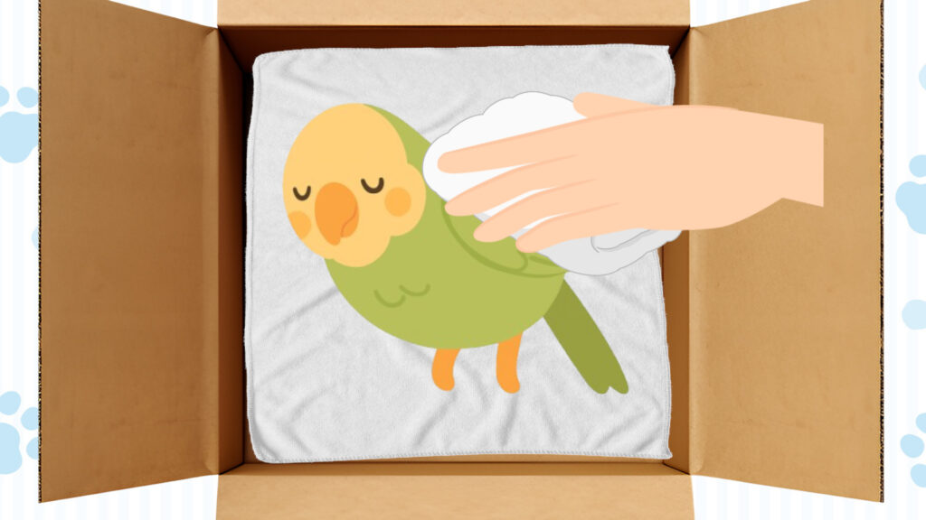 インコの体を拭く