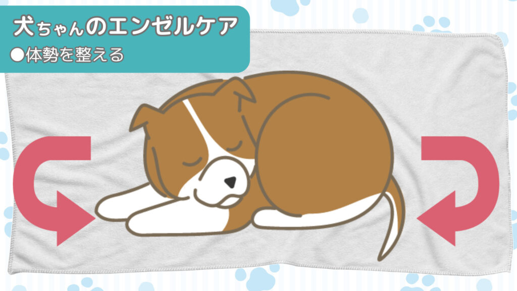 犬ちゃんの体勢を整える