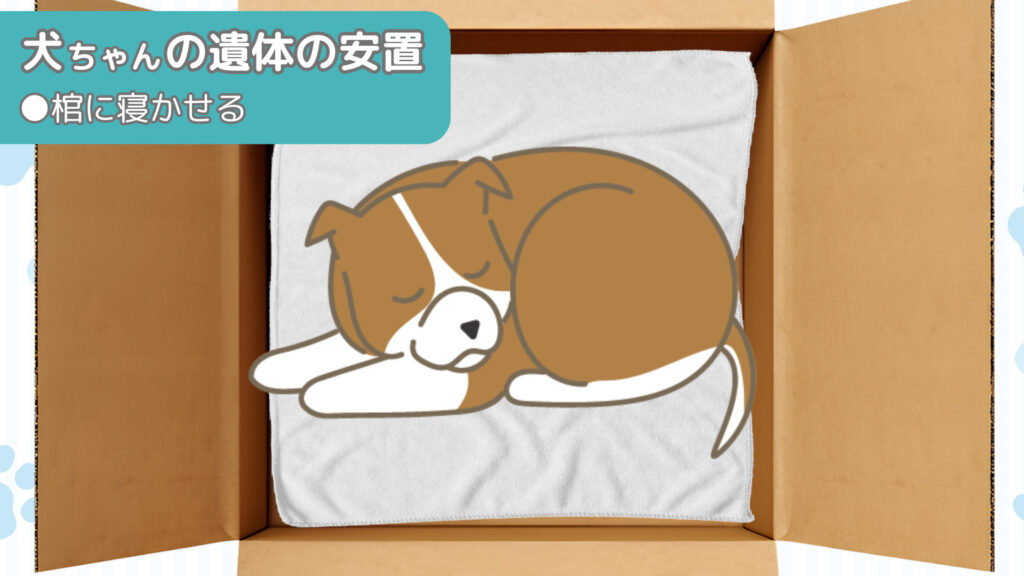 犬ちゃんの遺体を棺に寝かせる