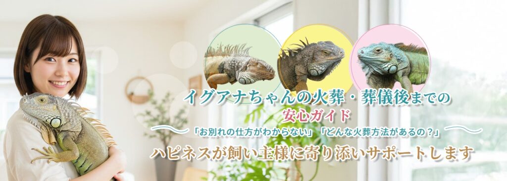 イグアナちゃんの火葬・葬儀後までの安心ガイド