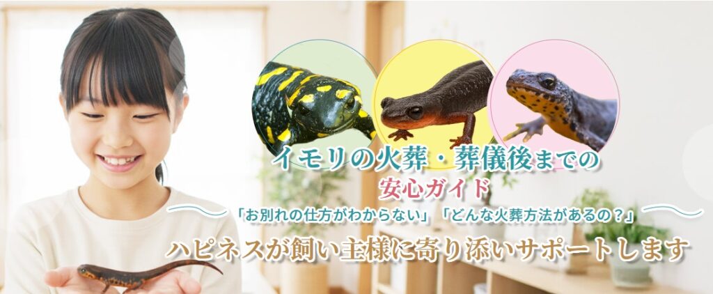 イモリの火葬・葬儀後までの安心ガイド