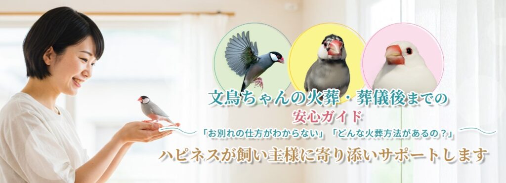 文鳥ちゃんの火葬・葬儀後までの安心ガイド