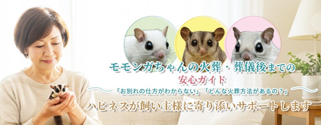 モモンガちゃんの火葬・葬儀後までの安心ガイド