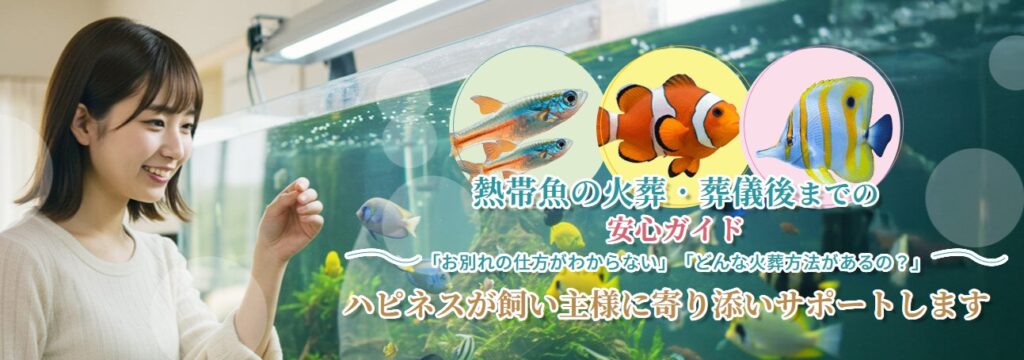 熱帯魚の火葬・葬儀後までの安心ガイド