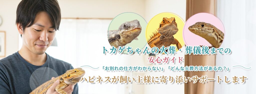 トカゲちゃんの火葬・葬儀後までの安心ガイド