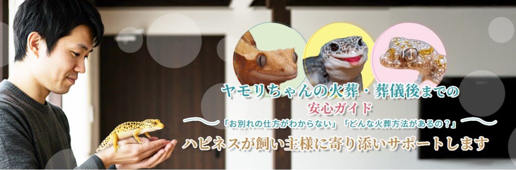 ヤモリちゃんの火葬・葬儀後までの安心ガイド