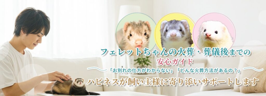 フェレットちゃんの火葬・葬儀後までの安心ガイド