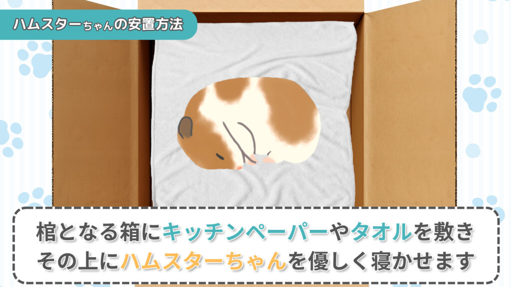 ハムスターの安置方法①