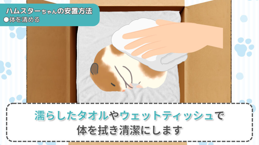 ハムスターの安置方法②