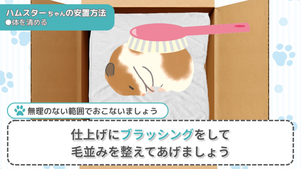 ハムスターの安置方法③