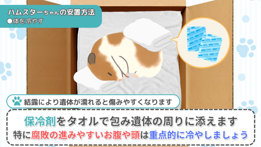 ハムスターの安置方法④