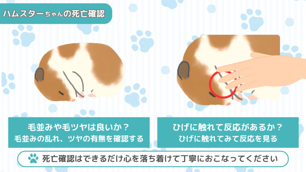 ハムスターの生死確認①