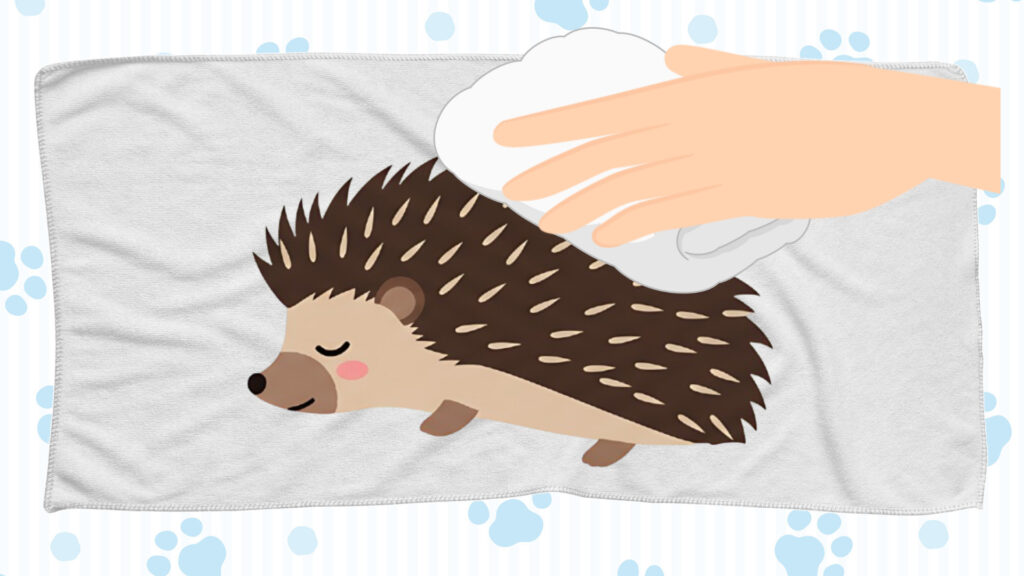 ハリネズミの体をきれいに拭いてあげる