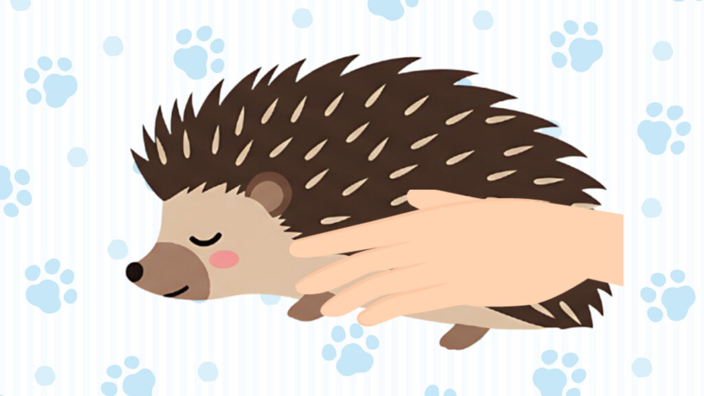 ハリネズミの手足やお腹に触ってみる