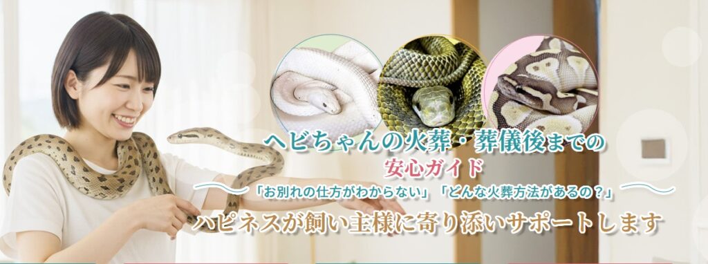 ヘビちゃんの火葬・葬儀後までの安心ガイド