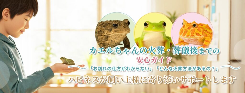 カエルちゃんの火葬・葬儀後までの安心ガイド