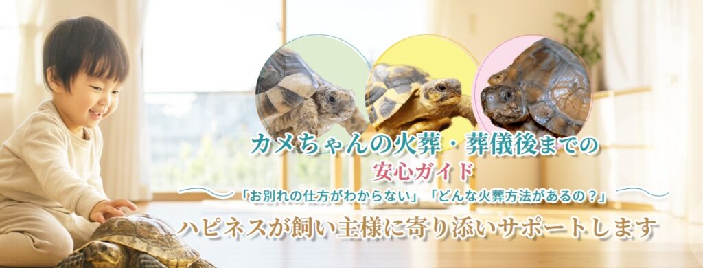 カメちゃんの火葬・葬儀後までの安心ガイド