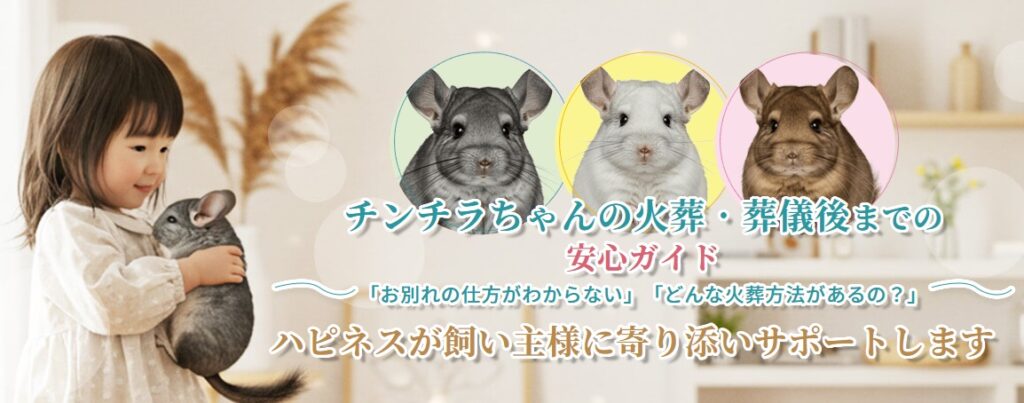 チンチラちゃんの火葬・葬儀後までの安心ガイド
