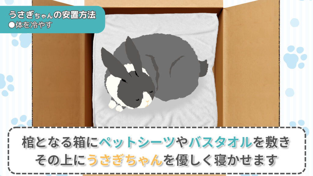 棺にバスタオルを敷きうさぎちゃんを寝かせる