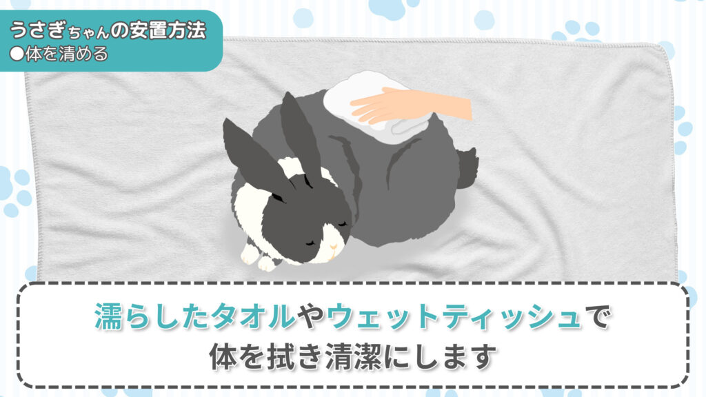 うさぎちゃんの体を清潔にする