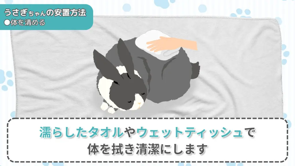 うさぎが死んだらすることは3つ！悔いのないお別れのために飼い主様が