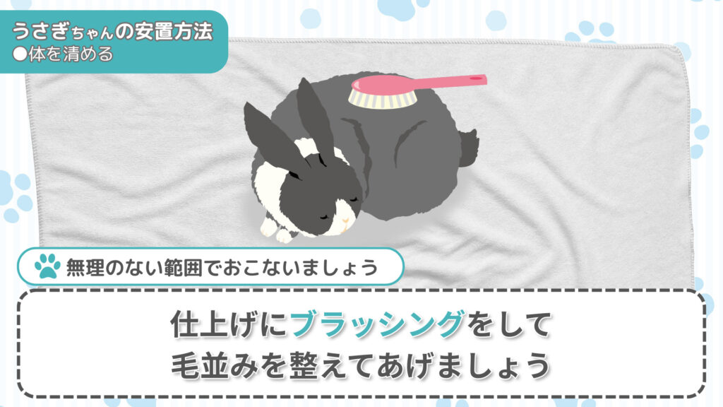 うさぎちゃんの毛並みを整える