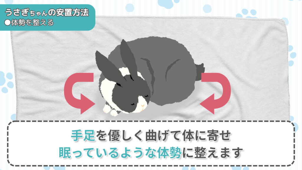 うさぎちゃんの体勢を整える