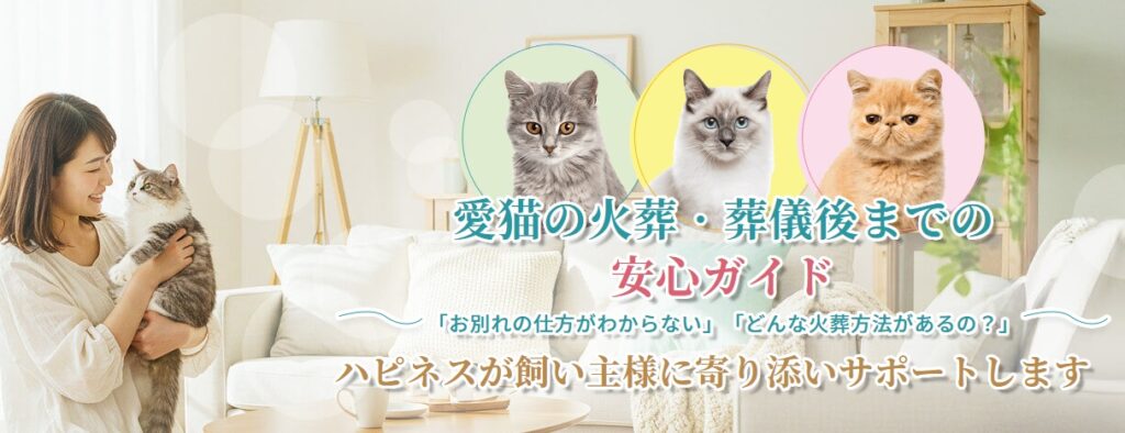 愛猫の火葬・葬儀後までの安心ガイド